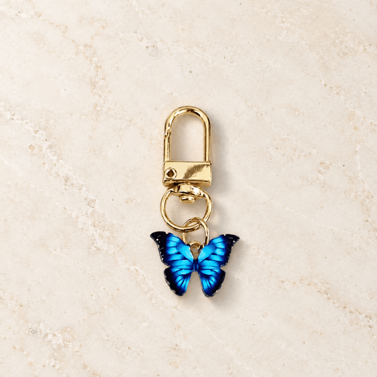LE PAPILLON NUIT BLEUE -