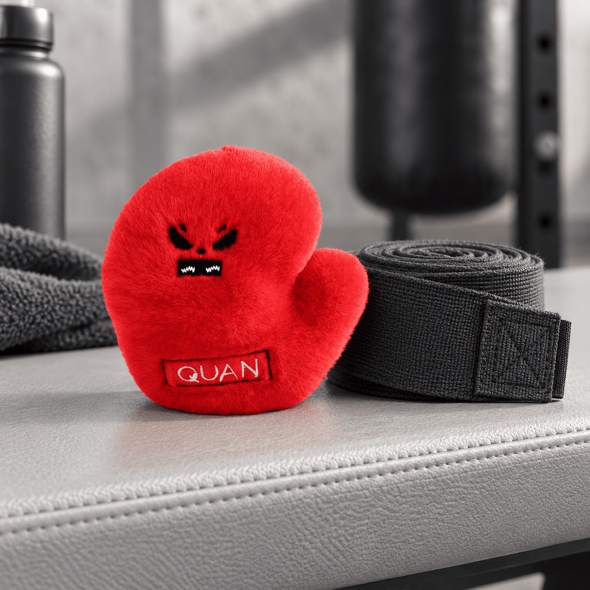 LE BOXEUR GROGNON -
